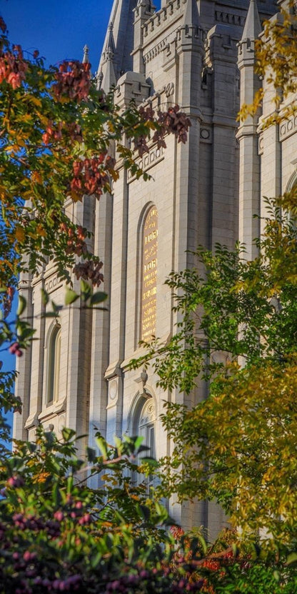 Salt Lake City Temple His Declaration Gallery Wrap