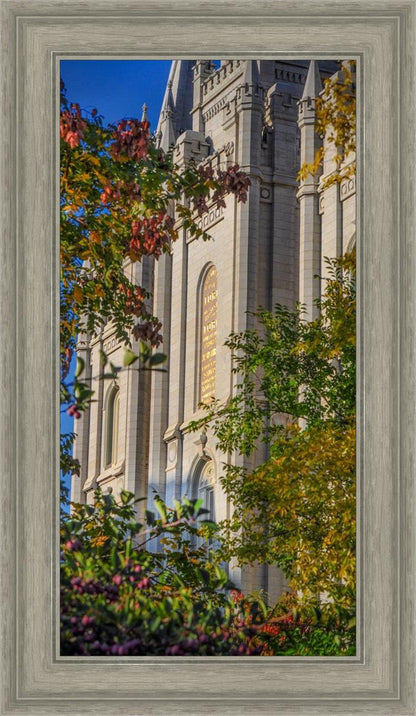 Salt Lake City Temple His Declaration