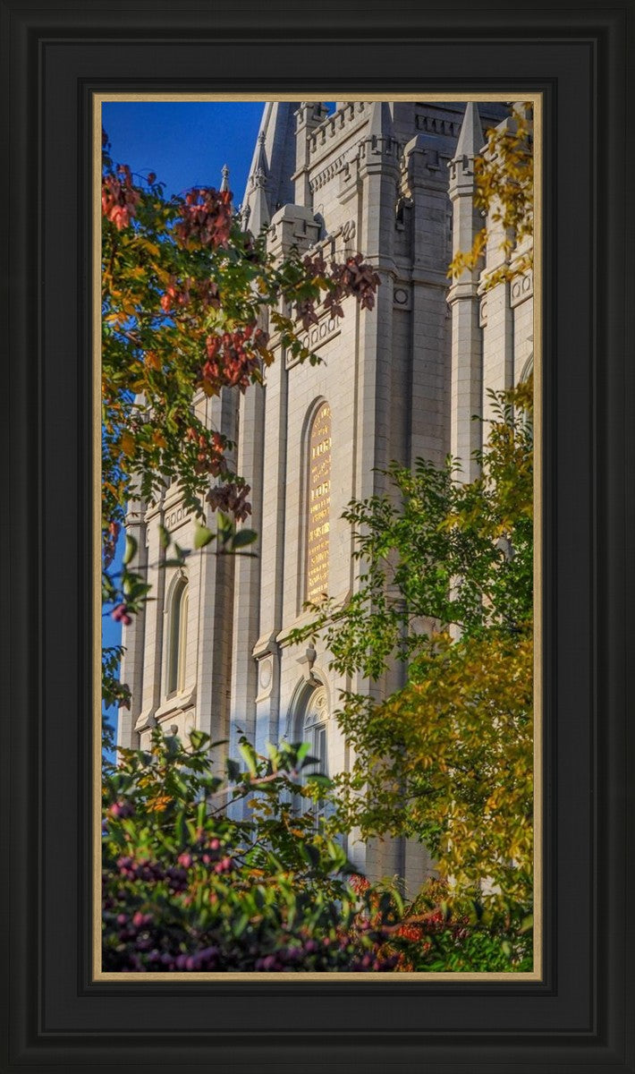 Salt Lake City Temple His Declaration