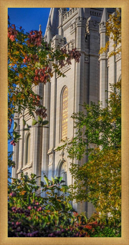 Salt Lake City Temple His Declaration