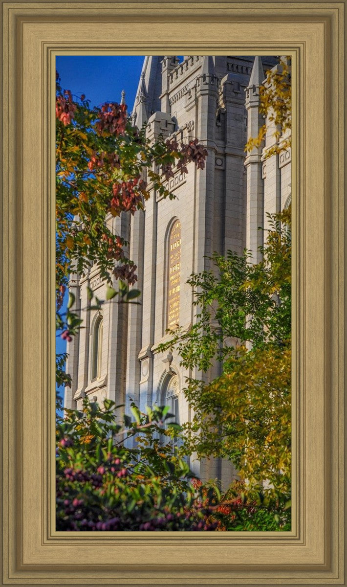 Salt Lake City Temple His Declaration
