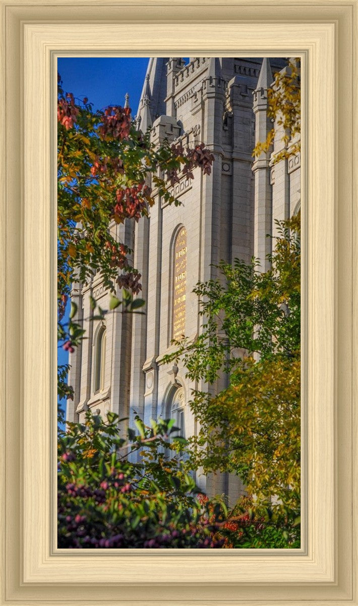 Salt Lake City Temple His Declaration