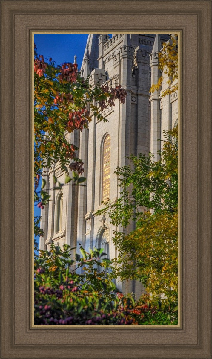 Salt Lake City Temple His Declaration