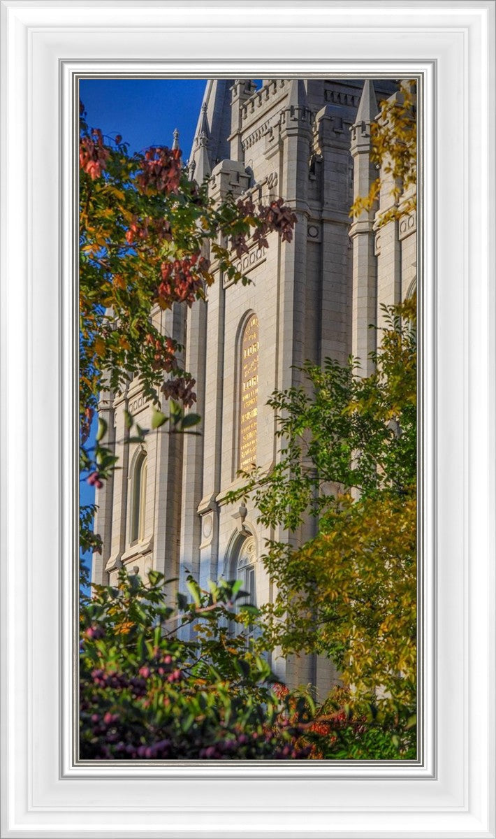 Salt Lake City Temple His Declaration