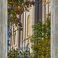 Salt Lake City Temple His Declaration