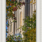 Salt Lake City Temple His Declaration