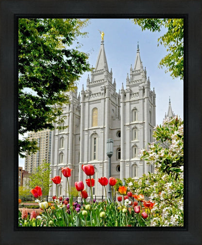 Salt Lake City Temple June - God Is the Gardner Gallery Wrap