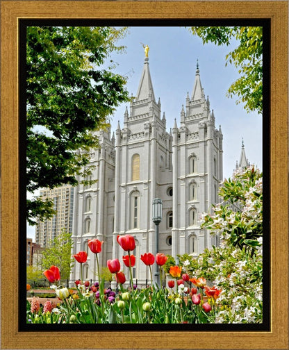 Salt Lake City Temple June - God Is the Gardner Gallery Wrap