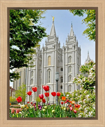 Salt Lake City Temple June - God Is the Gardner Gallery Wrap