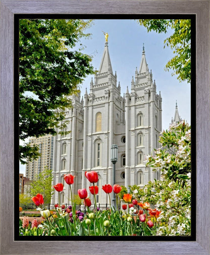 Salt Lake City Temple June - God Is the Gardner Gallery Wrap