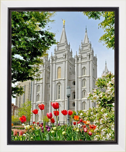 Salt Lake City Temple June - God Is the Gardner Gallery Wrap