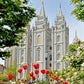 Salt Lake City Temple June - God Is the Gardner