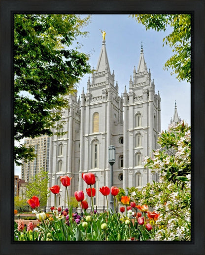 Salt Lake City Temple June - God Is the Gardner Gallery Wrap