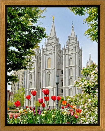 Salt Lake City Temple June - God Is the Gardner Gallery Wrap