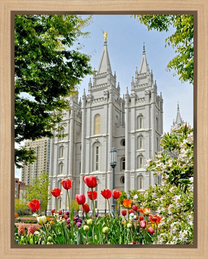 Salt Lake City Temple June - God Is the Gardner Gallery Wrap