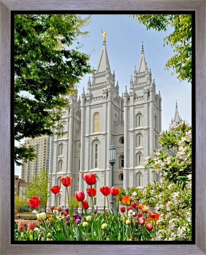 Salt Lake City Temple June - God Is the Gardner Gallery Wrap
