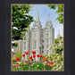 Salt Lake City Temple June - God Is the Gardner
