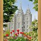 Salt Lake City Temple June - God Is the Gardner
