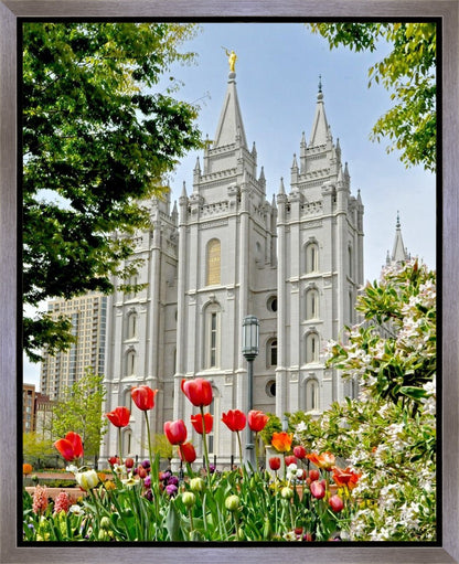 Salt Lake City Temple June - God Is the Gardner Gallery Wrap