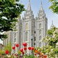 Salt Lake City Temple June - God Is the Gardner