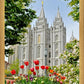 Salt Lake City Temple June - God Is the Gardner