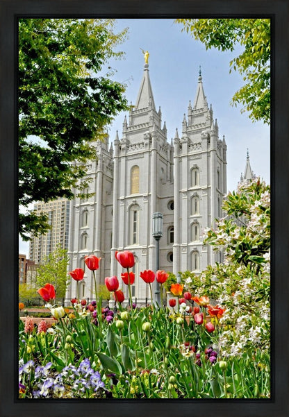 Salt Lake City Temple June - God Is the Gardner Gallery Wrap