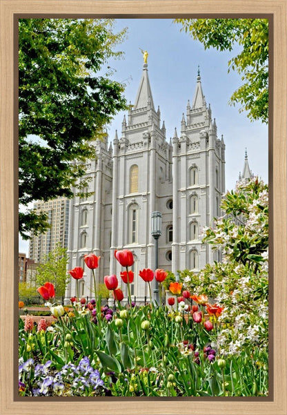 Salt Lake City Temple June - God Is the Gardner Gallery Wrap