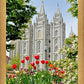 Salt Lake City Temple June - God Is the Gardner