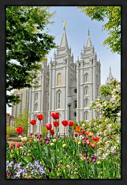 Salt Lake City Temple June - God Is the Gardner Gallery Wrap