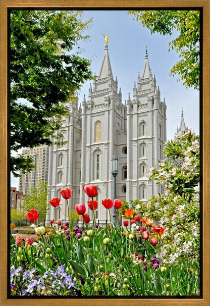 Salt Lake City Temple June - God Is the Gardner Gallery Wrap