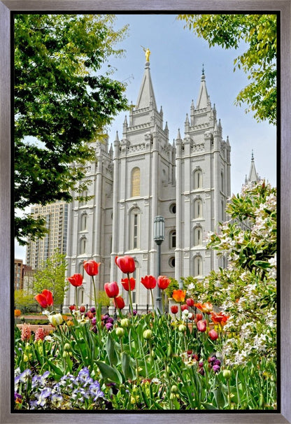 Salt Lake City Temple June - God Is the Gardner Gallery Wrap