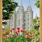 Salt Lake City Temple June - God Is the Gardner