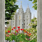 Salt Lake City Temple June - God Is the Gardner
