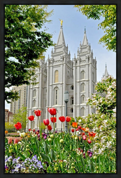 Salt Lake City Temple June - God Is the Gardner Gallery Wrap