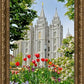 Salt Lake City Temple June - God Is the Gardner