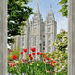 Salt Lake City Temple June - God Is the Gardner