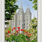 Salt Lake City Temple June - God Is the Gardner