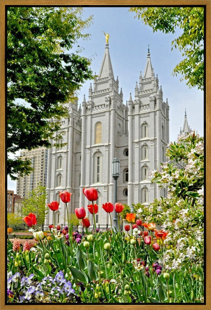 Salt Lake City Temple June - God Is the Gardner Gallery Wrap