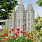Salt Lake City Temple June - God Is the Gardner