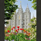 Salt Lake City Temple June - God Is the Gardner