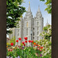 Salt Lake City Temple June - God Is the Gardner