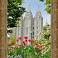 Salt Lake City Temple June - God Is the Gardner