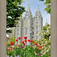Salt Lake City Temple June - God Is the Gardner