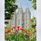 Salt Lake City Temple June - God Is the Gardner
