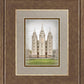 Salt Lake City Temple The Spirit Of God