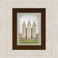 Salt Lake City Temple The Spirit Of God
