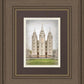 Salt Lake City Temple The Spirit Of God