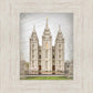 Salt Lake City Temple The Spirit Of God