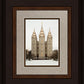 Salt Lake City Temple Warming Reflection