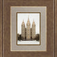 Salt Lake City Temple Warming Reflection